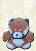 pandas.gif (69043 oCg)