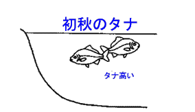 tana_shoshu.gif (2820 oCg)